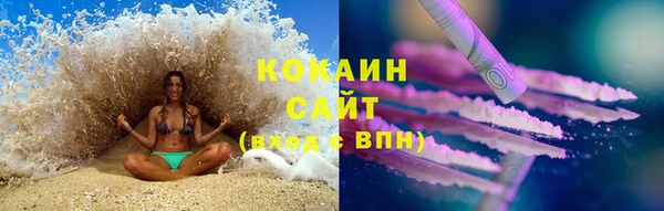 прущие грибы Осташков
