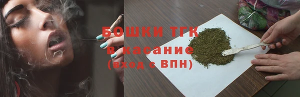 прущие грибы Осташков