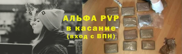 прущие грибы Осташков