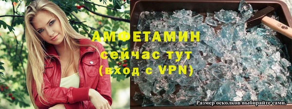 прущие грибы Осташков