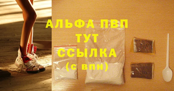 шишки Пестово