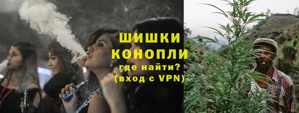 шишки Пестово