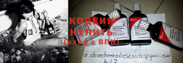 прущие грибы Осташков