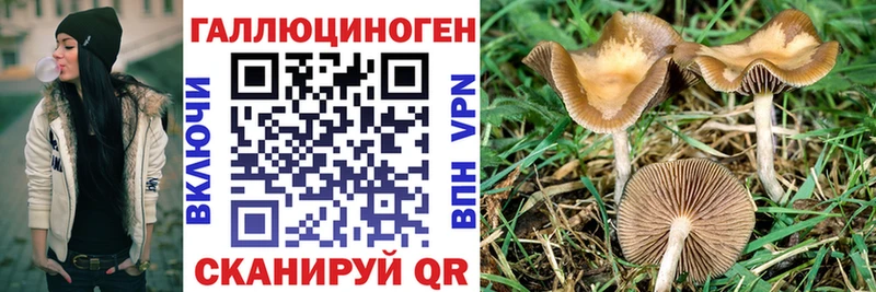 Галлюциногенные грибы MAGIC MUSHROOMS цены Семикаракорск
